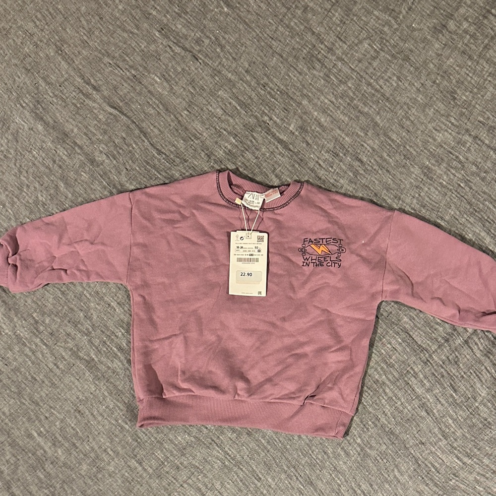 Zara Sweatshirt in Mauve